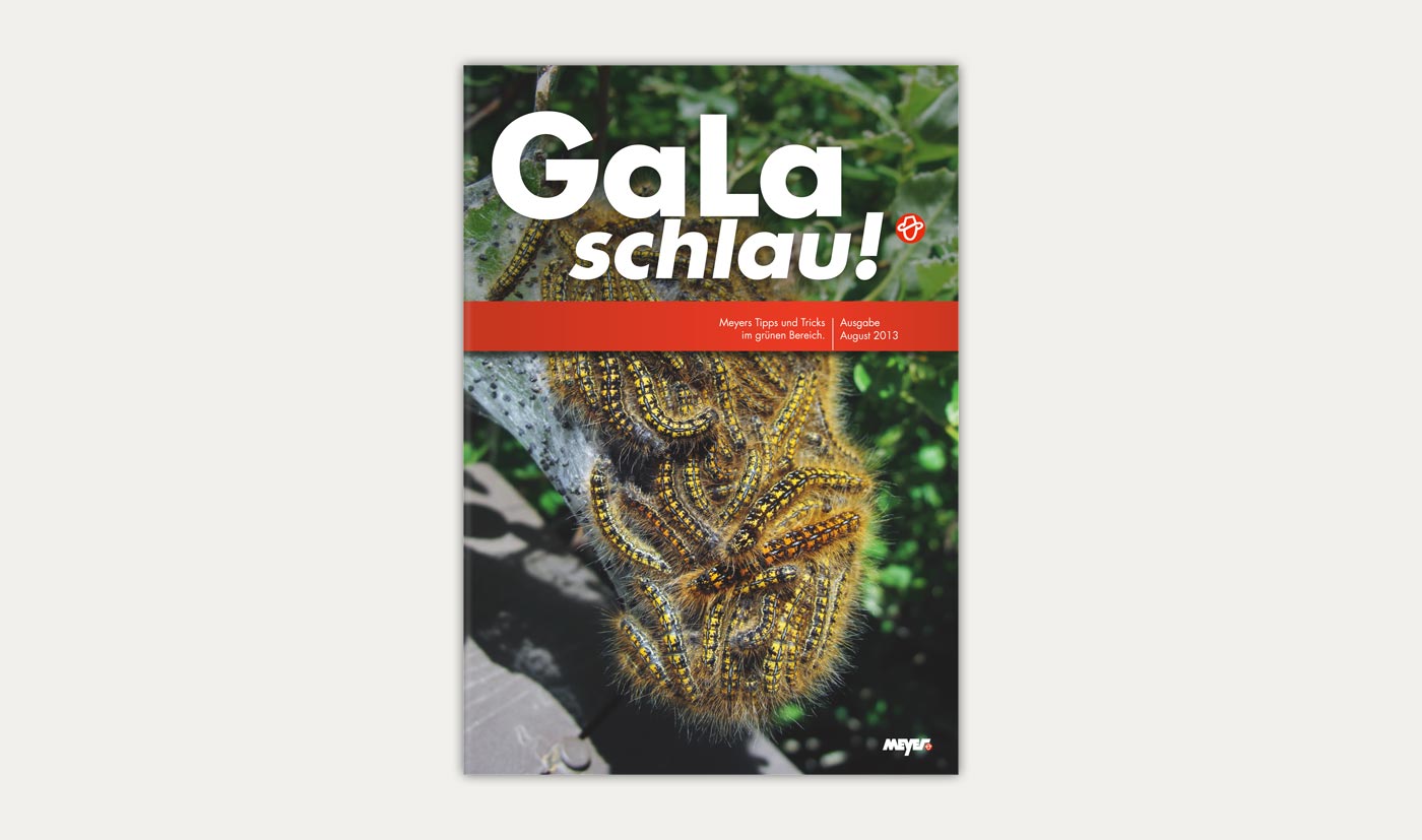meyer-galaschlau1